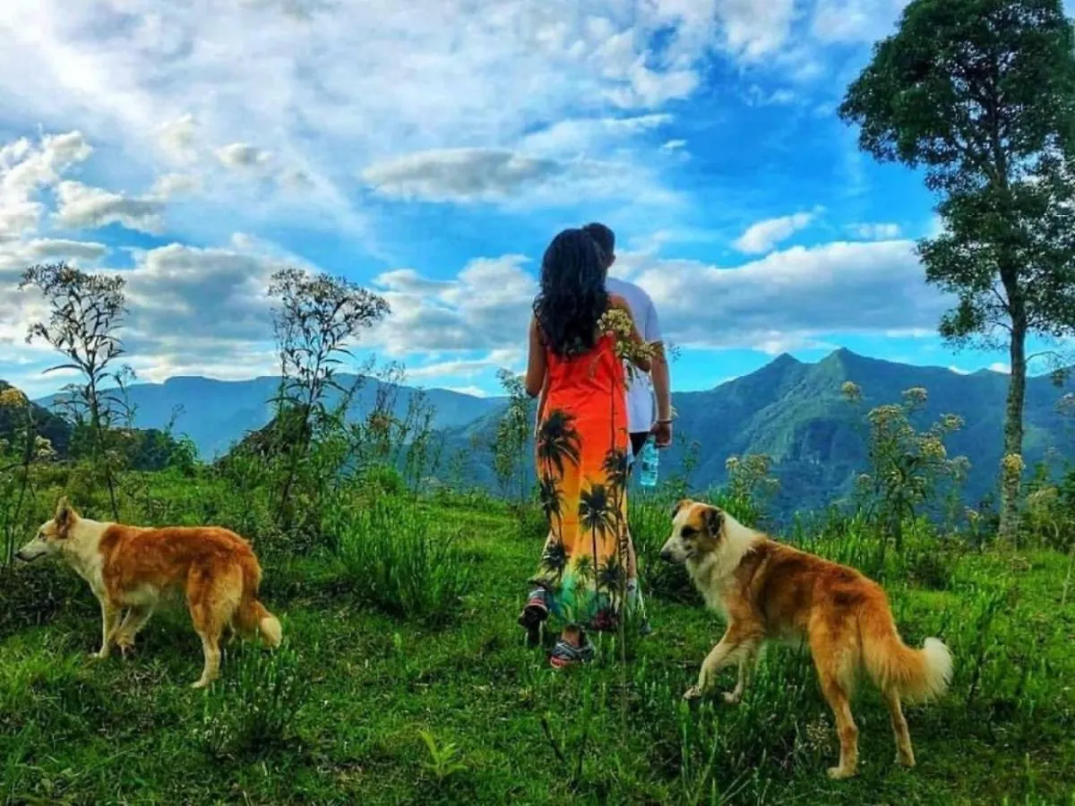 Homestay szállás Sitio Alto Jordao Ecoturismo Apartman Sideropolis Brazília